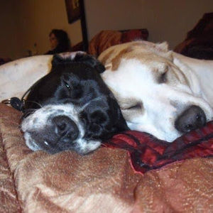 Meet your Posher, Mary